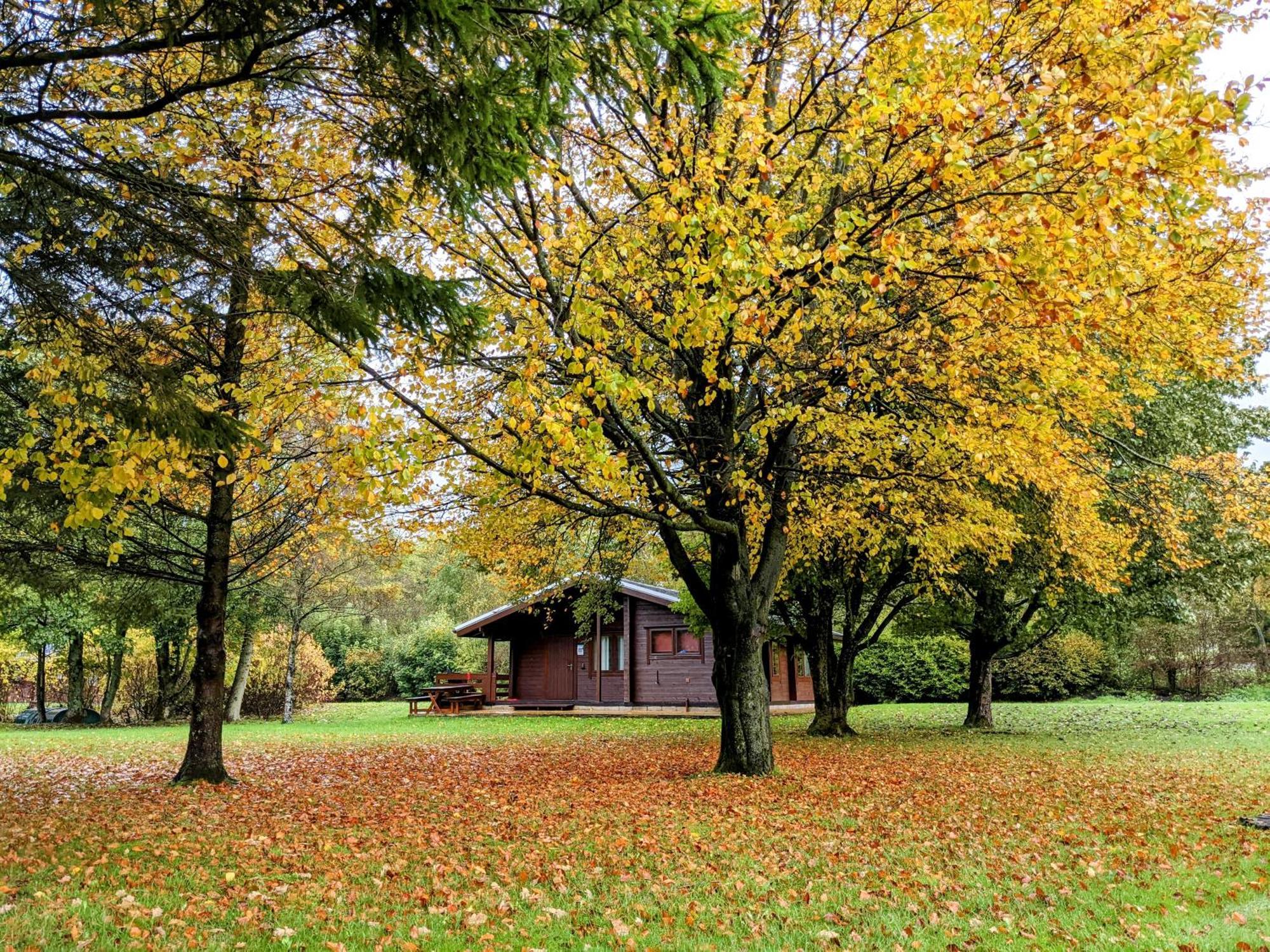 Pinecroft Lodges Ingleton  Εξωτερικό φωτογραφία